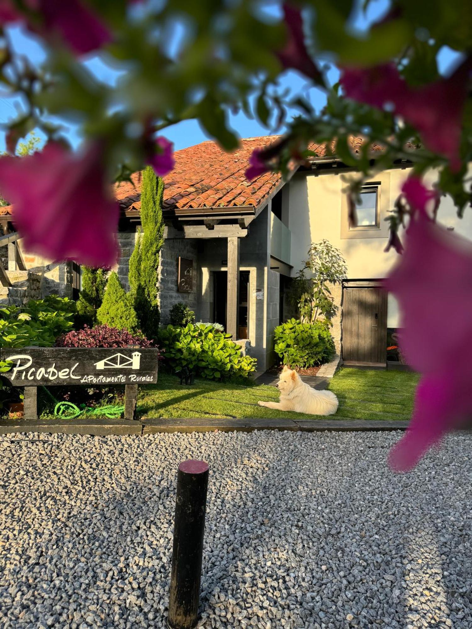 Apartamentos Picabel Cangas de Onis Ngoại thất bức ảnh